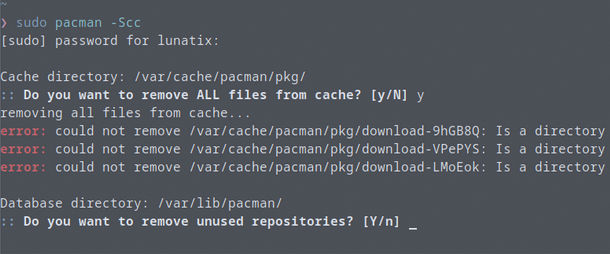 /_astro/pacman-cache-error.BpwONmL5.png